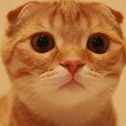 国外全局免费加速